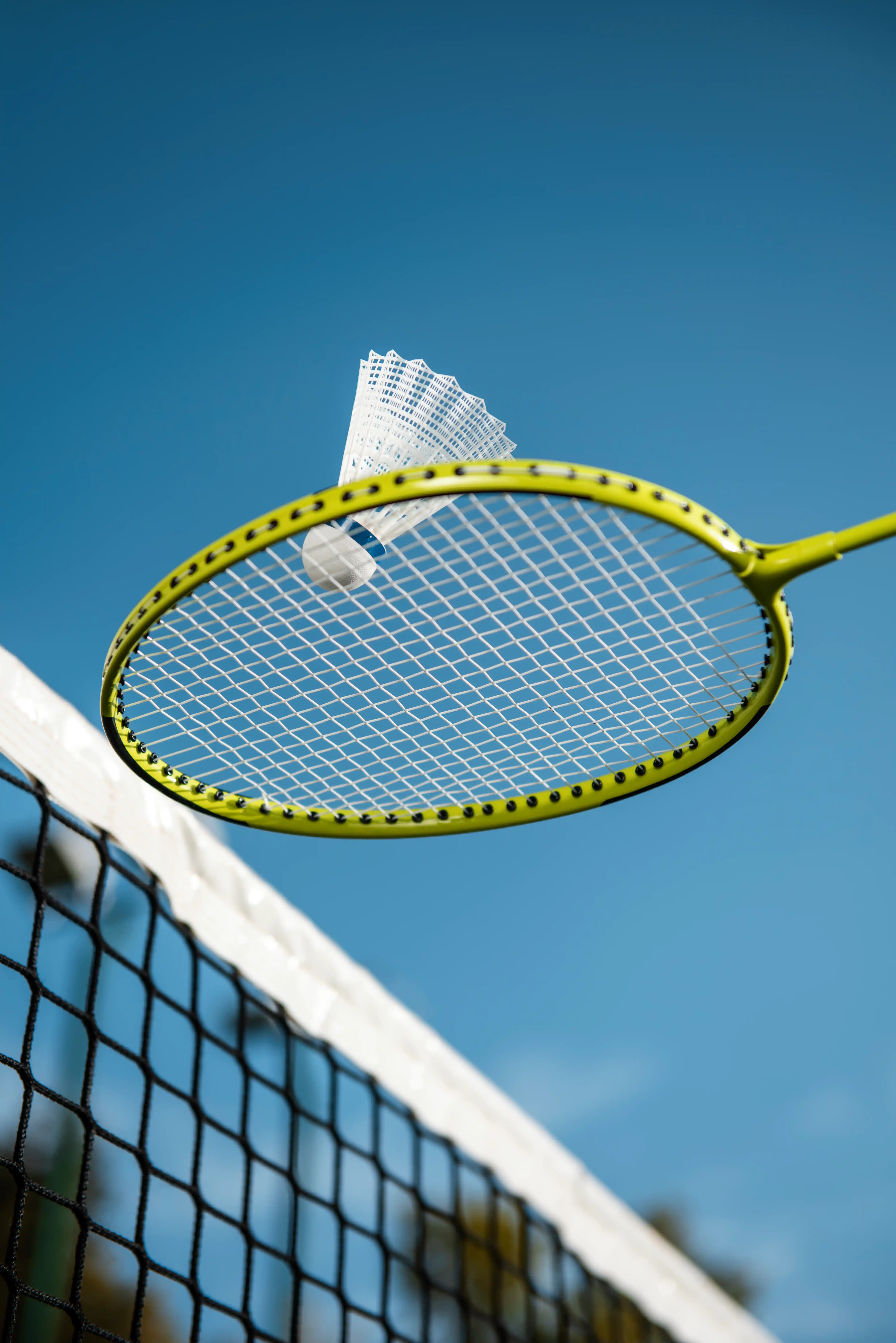 Rajapushpa skyra - Badminton Court